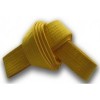 Group logo of Yellow Belt